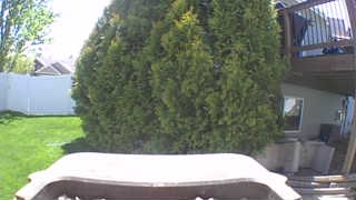 Unidentified clip