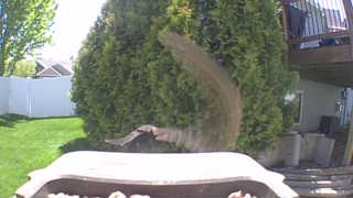 Unidentified clip