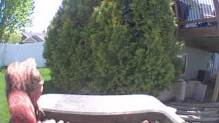 Unidentified clip