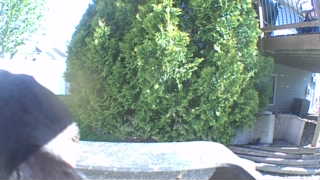 Unidentified clip
