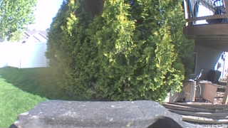 Unidentified clip