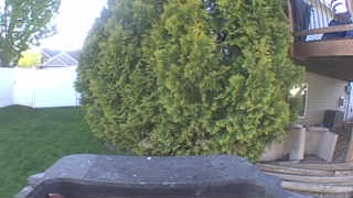 Unidentified clip
