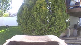 Unidentified clip