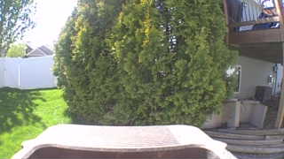 Unidentified clip