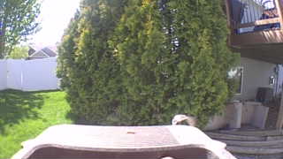 Unidentified clip