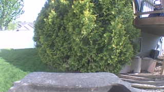 Unidentified clip