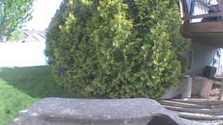 Unidentified clip