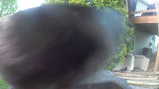 Unidentified clip