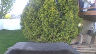 Unidentified clip