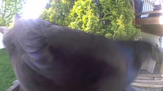 Unidentified clip