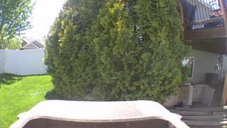 Unidentified clip