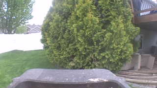 Unidentified clip