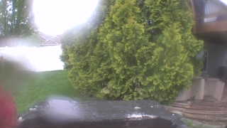 Unidentified clip