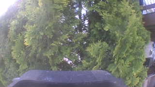 Unidentified clip