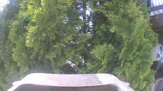 Unidentified clip