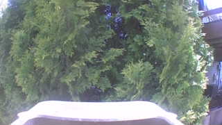 Unidentified clip