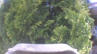 Unidentified clip