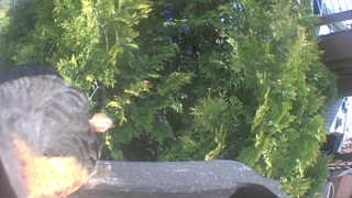 Unidentified clip
