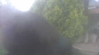 Unidentified clip
