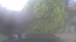 Unidentified clip