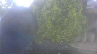 Unidentified clip