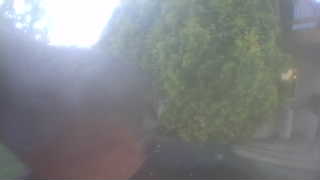 Unidentified clip