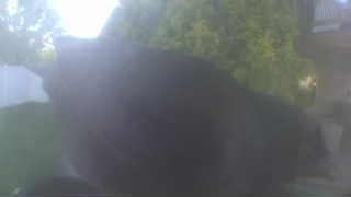 Unidentified clip