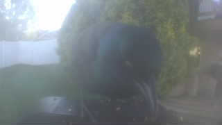 Unidentified clip