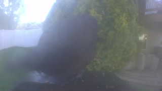 Unidentified clip