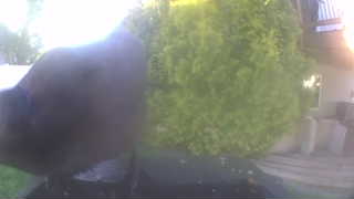Unidentified clip