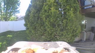 Unidentified clip