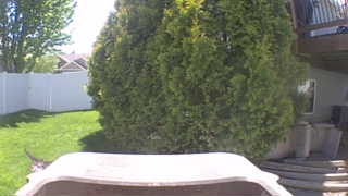 Unidentified clip