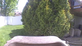 Unidentified clip