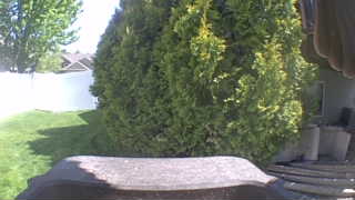 Unidentified clip