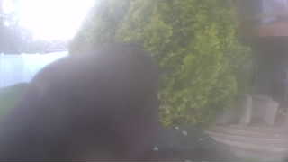 Unidentified clip