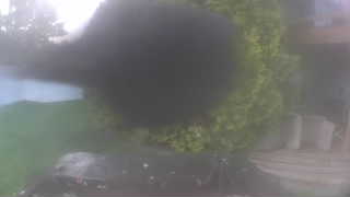 Unidentified clip