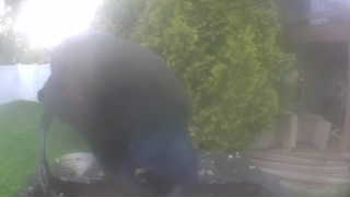 Unidentified clip