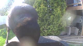 Unidentified clip