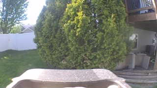 Unidentified clip