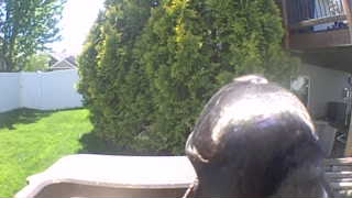 Unidentified clip