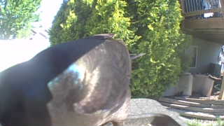 Unidentified clip