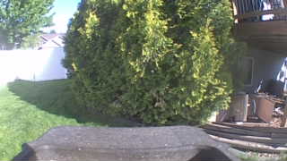 Unidentified clip