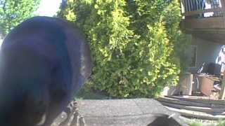 Unidentified clip