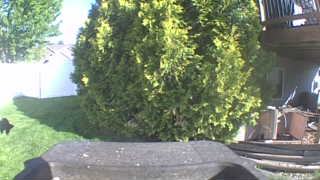 Unidentified clip