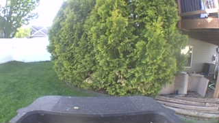 Unidentified clip