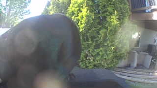 Unidentified clip