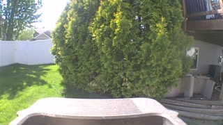 Unidentified clip