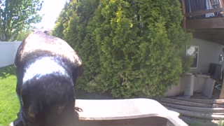 Unidentified clip