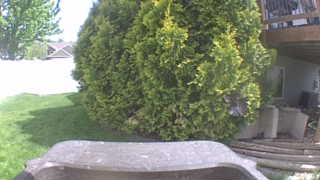 Unidentified clip