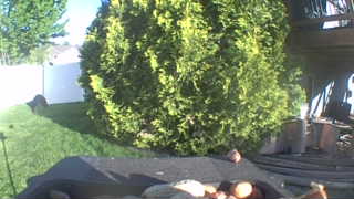 Unidentified clip